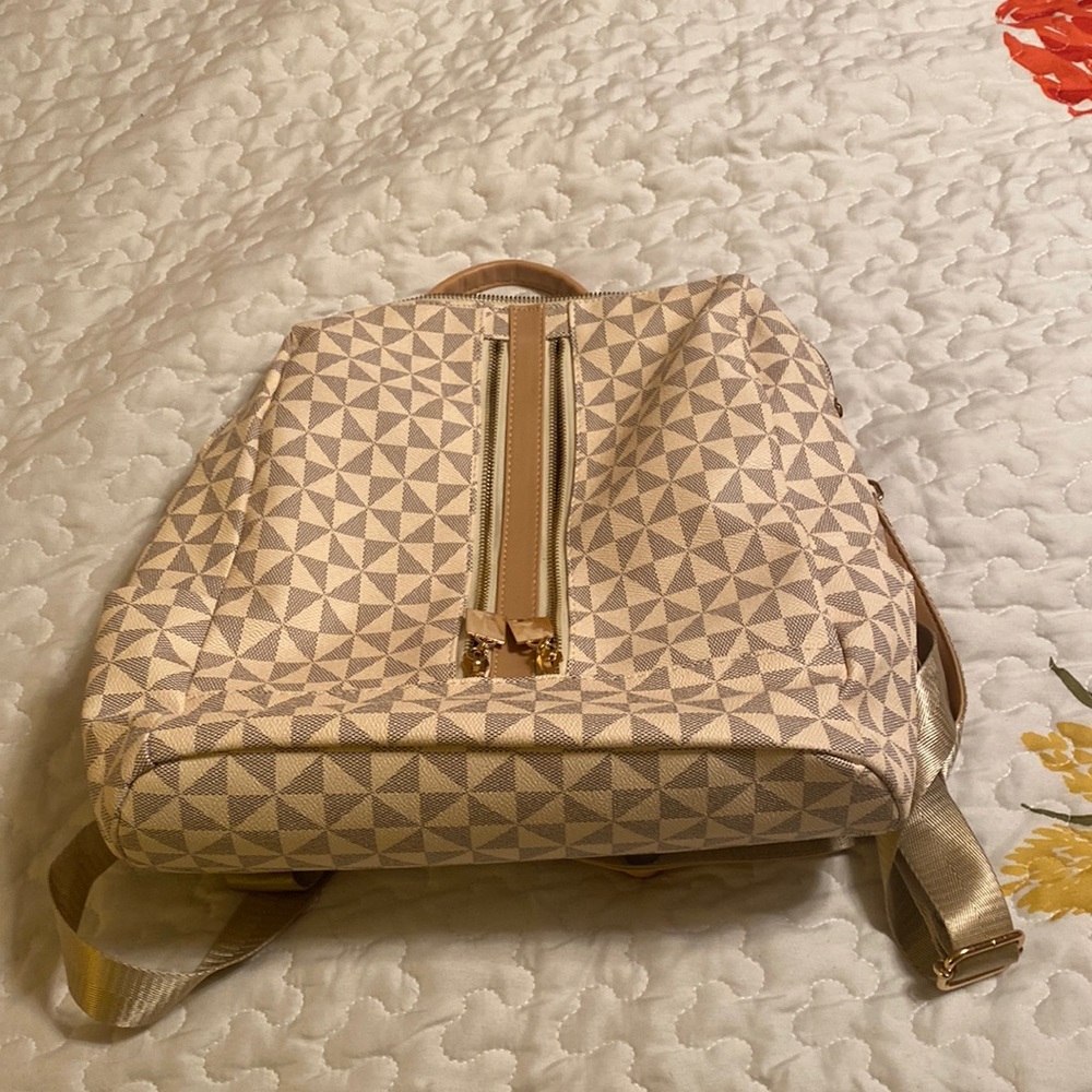 Back pack purse